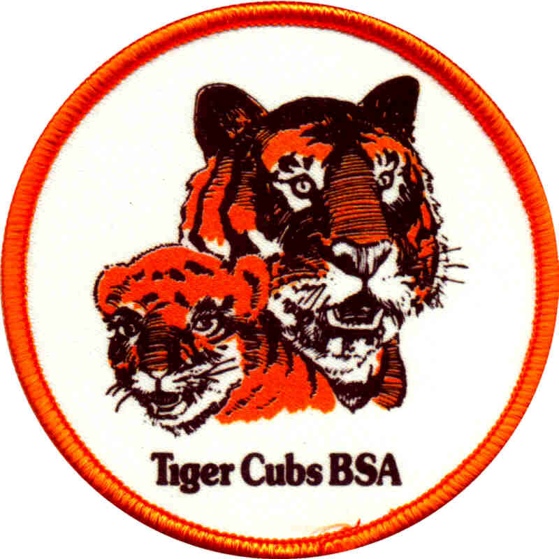 Bsa Tiger